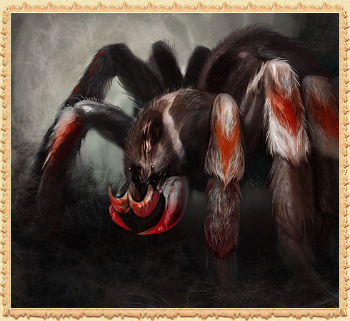 Магиар разбойник